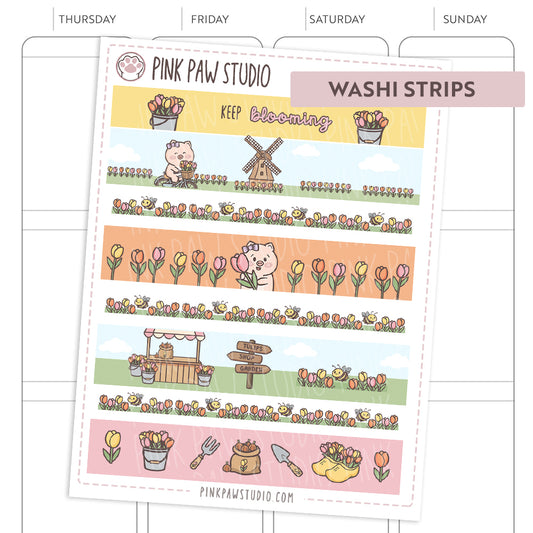 Cintas Washi - Mayo